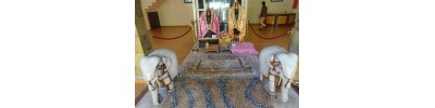 விஷால்பத்ரி